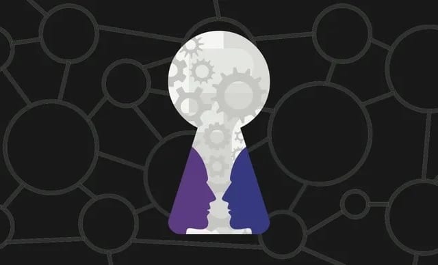 Case strategy overview